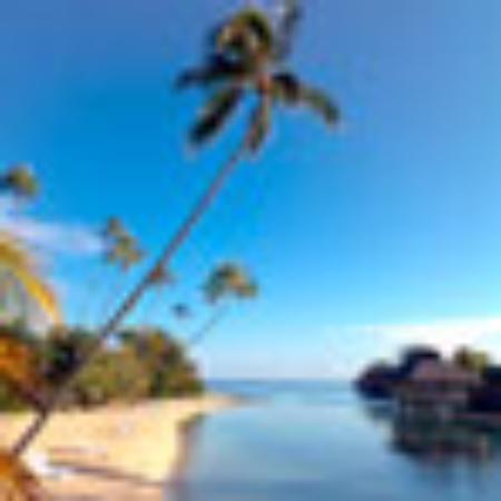 Tropical Smoothie Cafe